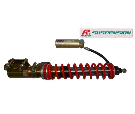 Toyota Corolla AE111 front Proflex shock absorber