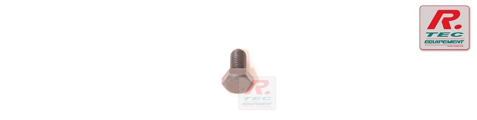 0305003 - Vis H M10 x 20 cl 10.9 brut (Tête de 17) # (NUE) - SADEV
