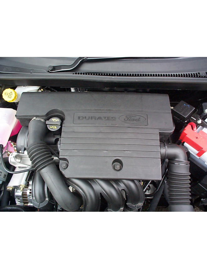 Kit admisión directa Pipercross Ford Fiesta 6 1,25 16v