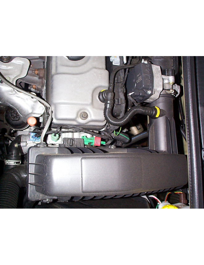Kit admisión directa Pipercross Peugeot 206 1,4 8v