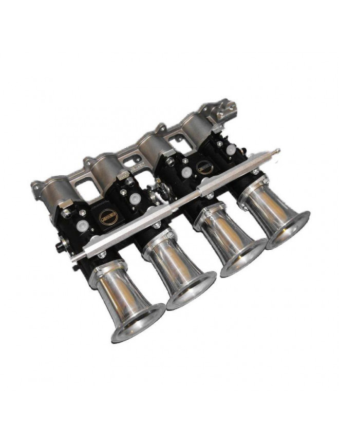 Throttle bodies PSA TU5 + Dash5