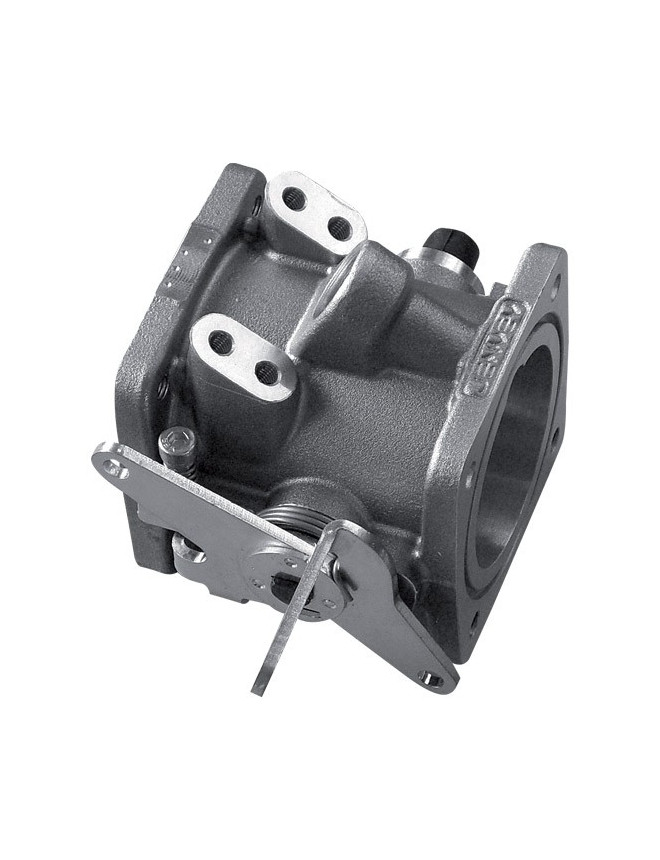Throttle Body 50mm Lg30mm