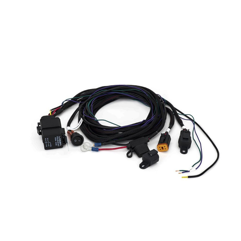 Two-Lamp Harness Kit - with Switch (with DT06-4S, 12V)