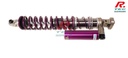 Honda Civic Type R (EP3) rear Reiger 3 ways shock absorber
