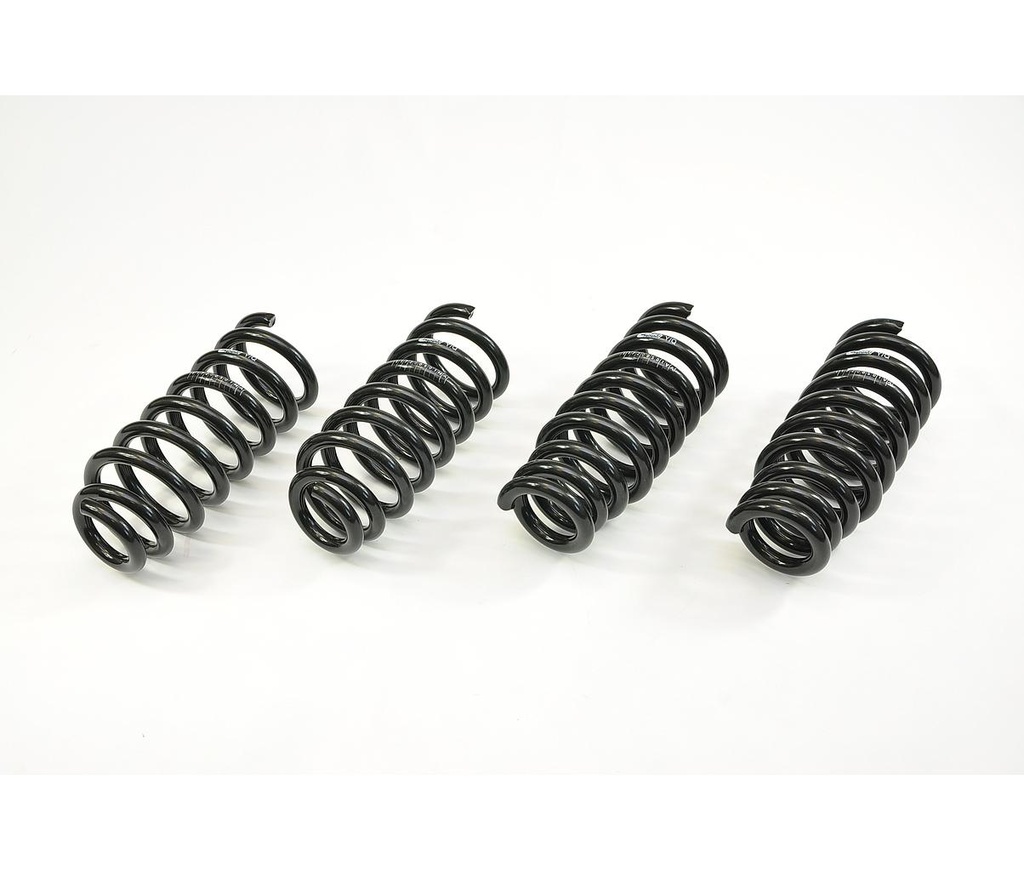 Kit ressort Eibach Pro-Kit Renault Scenic (JM)