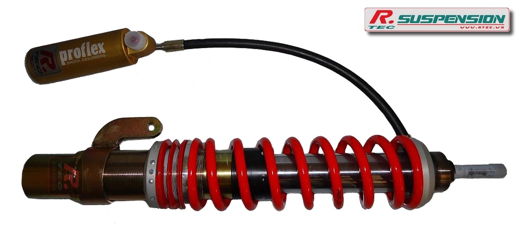 Citroën DS3 AV - amortisseur Proflex Gr.N