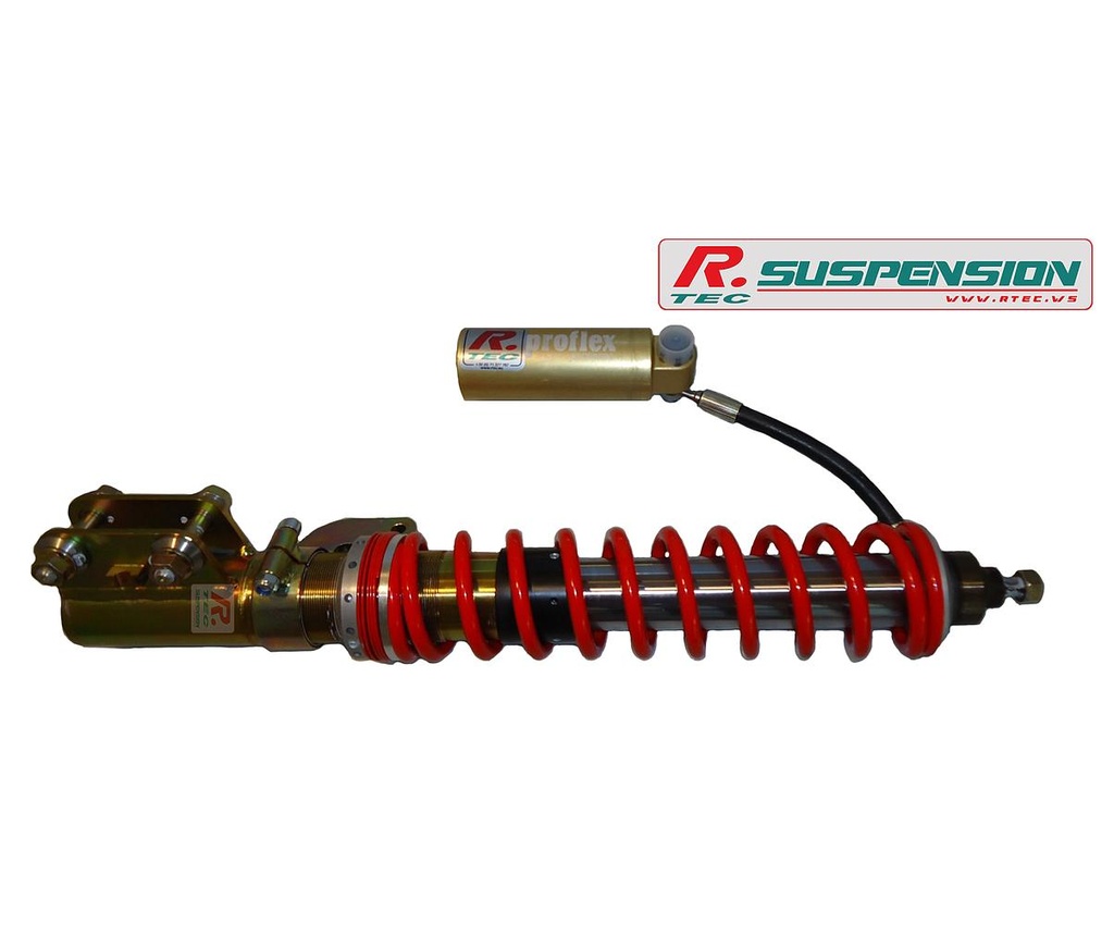 Toyota Corolla AE111 AR - amortisseur Proflex Gr.N