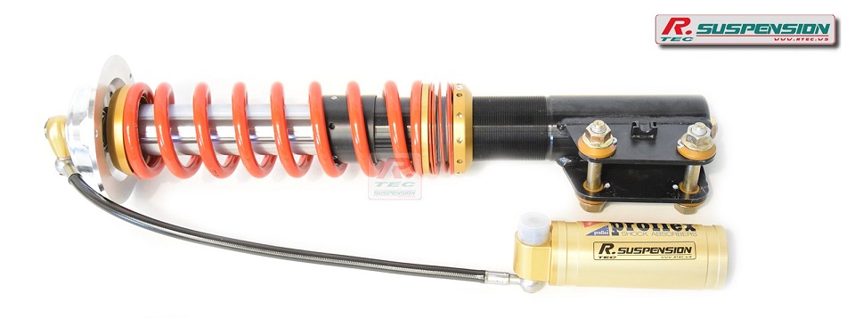 Clio Williams front Gr.A Proflex shock absorber