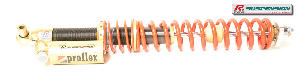 Bmw E36 AR Gr.A - amortisseur Proflex