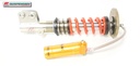 Peugeot RCZ Öhlins 46 fileté avant