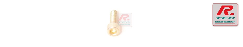 0301388 - Vis CHC M7 x 20 cl 10.9 bichro - clé de 6 - SADEV