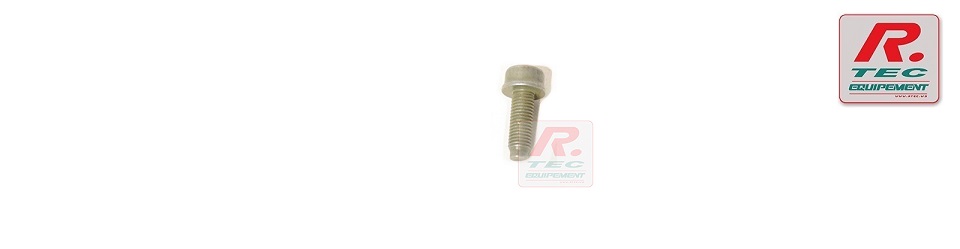 5103003 - Vis CHC EMB M7 x 100 Lg 21 - SADEV