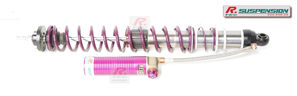 Porsche 911 rear Reiger suspension 3 ways