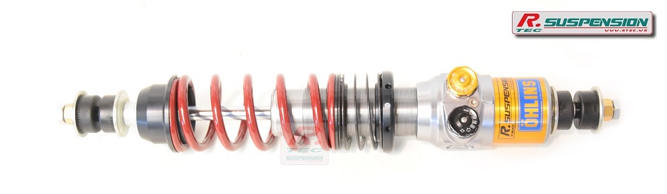 Ford Mustang 67' Öhlins TTX36 arrière