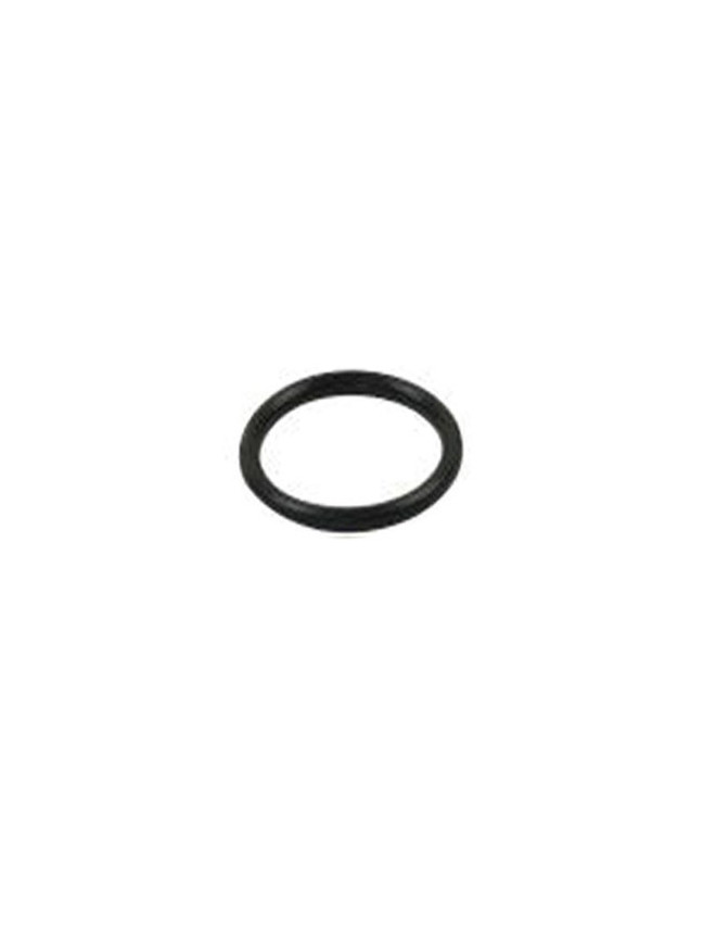 Joint Piston Pinza de freno AP Racing Racing 1.62