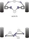 Road & Track Suspensions / Powerflex / Powerflex / Alfa Romeo / Alfetta, Giulietta, GTV6, 75 (Milano) / Alfetta, Giulietta, GTV6, 75 (Milano)