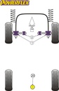 Road & Track Suspensions / Powerflex / Powerflex / Audi / 100 inc Avant Typ 43 (C2) & 44 (C3) / 100 Quattro inc Avant Typ 44 (C3) (10/84-11/90)