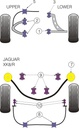 Road & Track Suspensions / Powerflex / Powerflex / Jaguar / (Daimler) XK8, XK8R - X100 / (Daimler) XK8, XK8R - X100 (1996-2006)