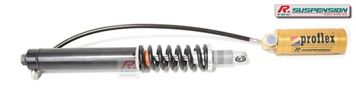 [RENCLIO3-PRO-AR-CIRCUIT] Renault Clio 3 AR - amortisseur Proflex Circuit
