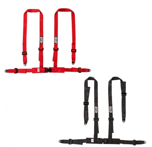 GT2i Club 4-point CEE 2" Harness