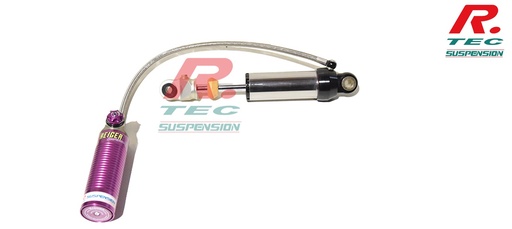 Citroen Saxo rear Reiger 3 ways shock absorber