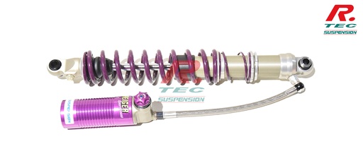 [C-C2R2-REIGER-3V-AR] Citroen C2R2 rear Reiger 3 ways shock absorber