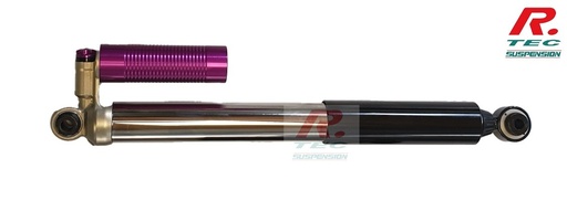 [REIGER-0-01-00371] Reiger Shock Absorber for rear Mercedes G63 4x4 (>2018) : 2-way damper
