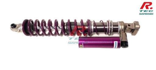 [H-CIVIC-TYPER-FN2-AR] Honda Civic Type R (FN2) AR - amortisseur Reiger 3 voies