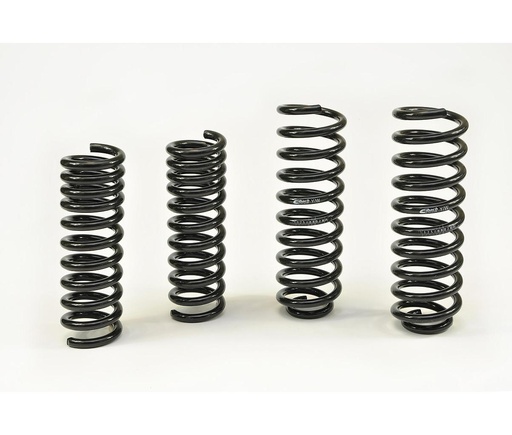 [E10-25-008-08-22] Eibach spring kit : Pro-Kit MB CLS (C219)