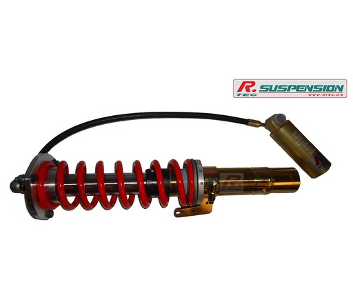 VW Golf 5 R AV - amortisseur Proflex Gr.A