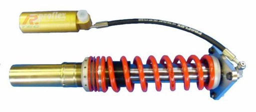 Porsche Cayman AV - amortisseur Proflex Gr.A