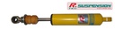 [RENAULTCLIOWILLIAMS-STEP1-AR] Clio Williams - Rear Bilstein uniball - Step 2