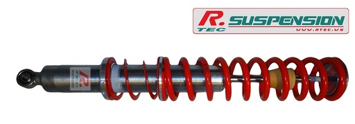[RENAULTCLIO3-STEP2-AR] Renault Clio 3 Bilstein fileté arrière - Step 2