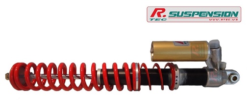 Renault Clio 2 rear Proflex shock absorber