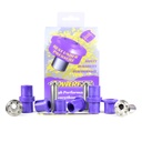[PFR5-306G] Rear Trailing Arm Bush Adjustable