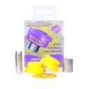 [PFF19-2004] Lower Engine Mount Small Bush 25mm Oval Bracket