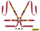 Harnais Sabelt Alu 2"/2" - CCA622S Down - FIA 8853-2016