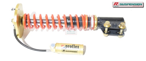 Renault Clio 2 V6 AR - amortisseur Proflex Gr.A