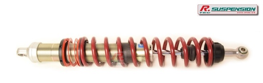 [FORDSIERRACOSWORTH4RM-STEP5-AR] Ford Sierra Cosworth 4x4 Öhlins fileté 1 voie arrière