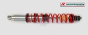 [FORDESCORTMK2-STEP2-AR] Ford Escort MK2 Bilstein roscado trasero - Step 2