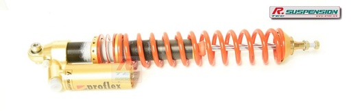 Seat Ibiza AR - amortisseur Proflex