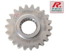 [F1903006] F1903006 - Roue de 5ème 22 dents ( 23 / 22 ) - SADEV